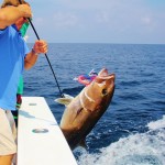 Orange Beach Fishing